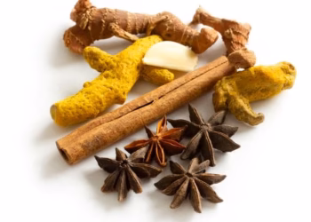 Obat Sakit Jantung Alami dari Tumbuhan